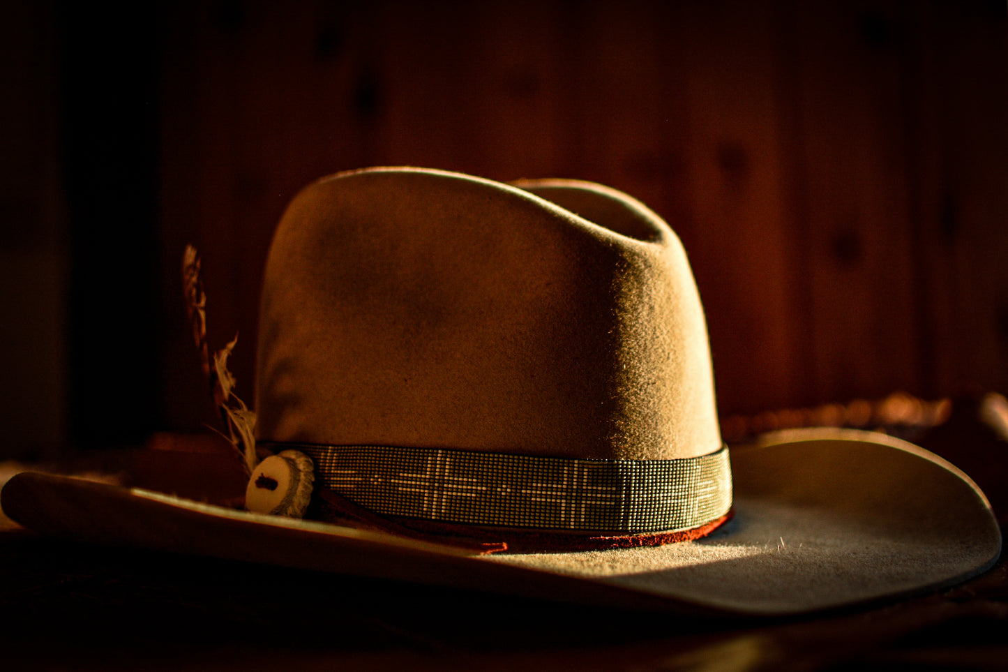 Hat Band — “Ponderosa” in sage