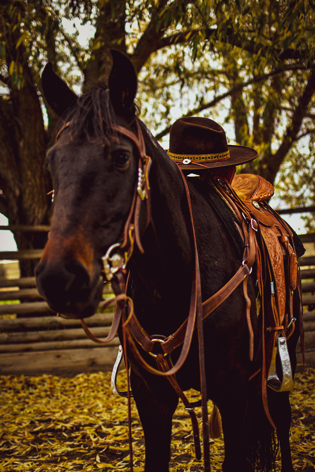 Hat Band - “Boulder Falls”