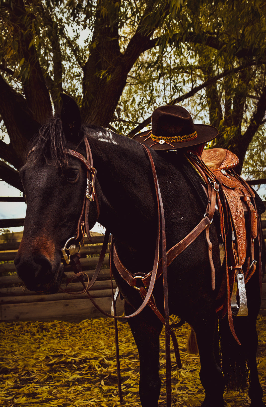 Hat Band - “Boulder Falls”